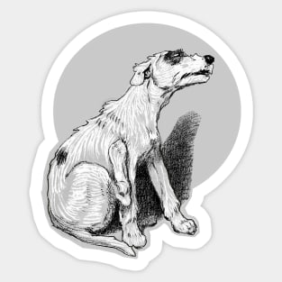 Dog with fleas cowering Sticker